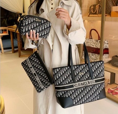 حقيبة ديور ستاتي