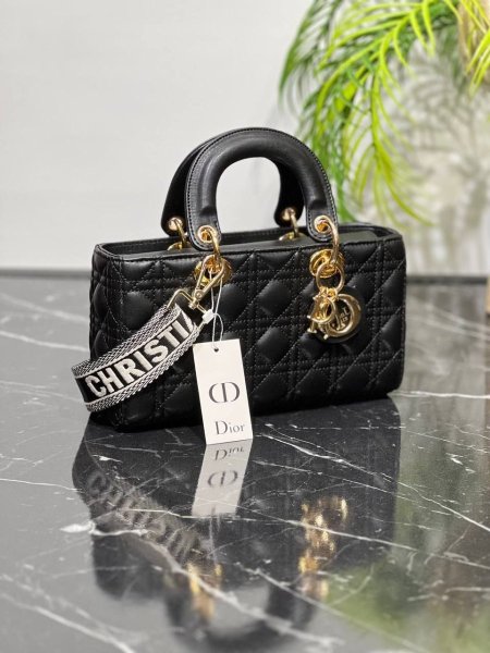 حقيبة ديور ستاتي