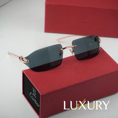 كارتير رجالي